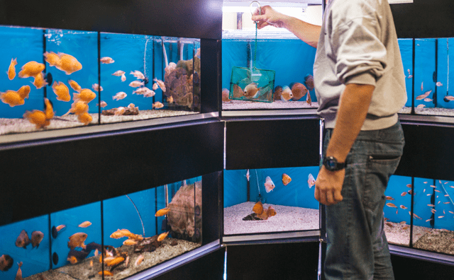 水族產業